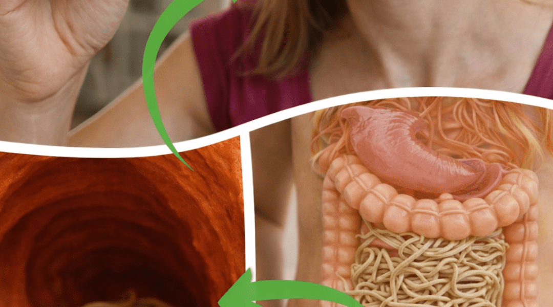 Insights I Wish I’d Discovered Earlier – Health