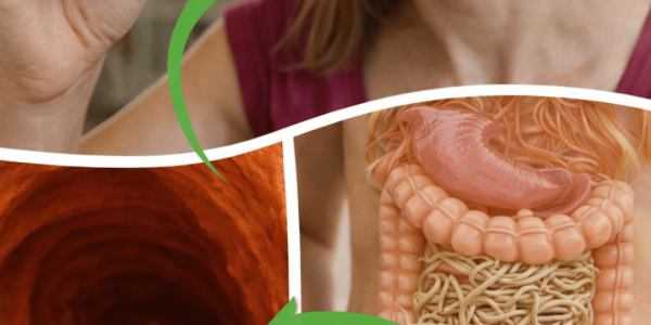 Insights I Wish I’d Discovered Earlier – Health