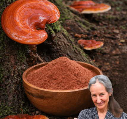 Have You Ever Walked Past This Stunning Red Mushroom Growing on a Tree Without Realizing Its Potential for Everyday Wellness? – Health