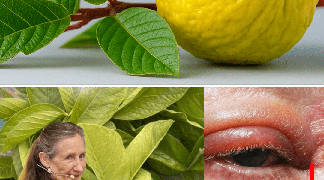 Transform Your Eye Health Naturally! 🌿 – dogpjs.com – Health