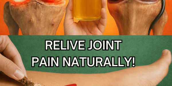 Could Papaya Seeds Be a Simple Natural Way to Support Knee, Back, and Spine Comfort? – Health