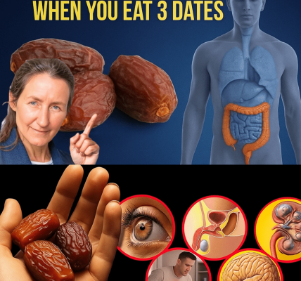 🌴 Unlock 12 Astonishing Health Transformations with Just 3 Dates Daily – dogpjs.com – Health