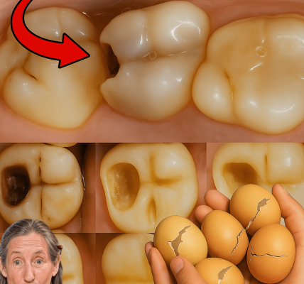 Eggshells Transform Yellow Teeth to Pearl White in Just 5 Minutes – dogpjs.com – Health