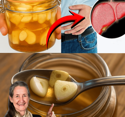 7 Transformative Benefits in Just One Week – dogpjs.com – Health