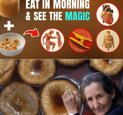 Shield Your Liver with 10 Daily Superfoods That Fight Damage – dogpjs.com – Health