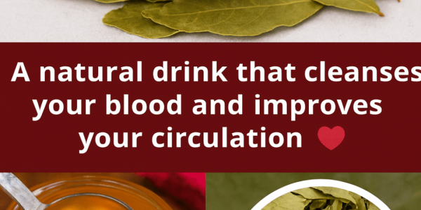 Grandma’s Bay Leaf And Spice Tonic That Gently Supports Blood Flow, Digestion, And Daily Energy – Health