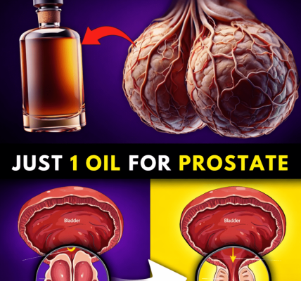 Discover 6 Natural Oils That May Help Support Prostate Comfort and Urinary Health – Health