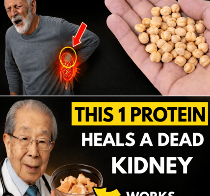 Discover Which Protein Sources May Best Support Kidney Comfort for Seniors – Health