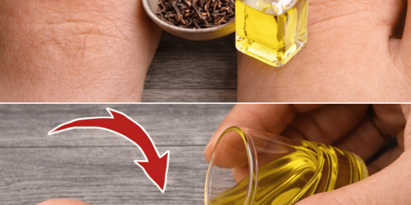 Insights on Home Options and When to Seek Help – Health