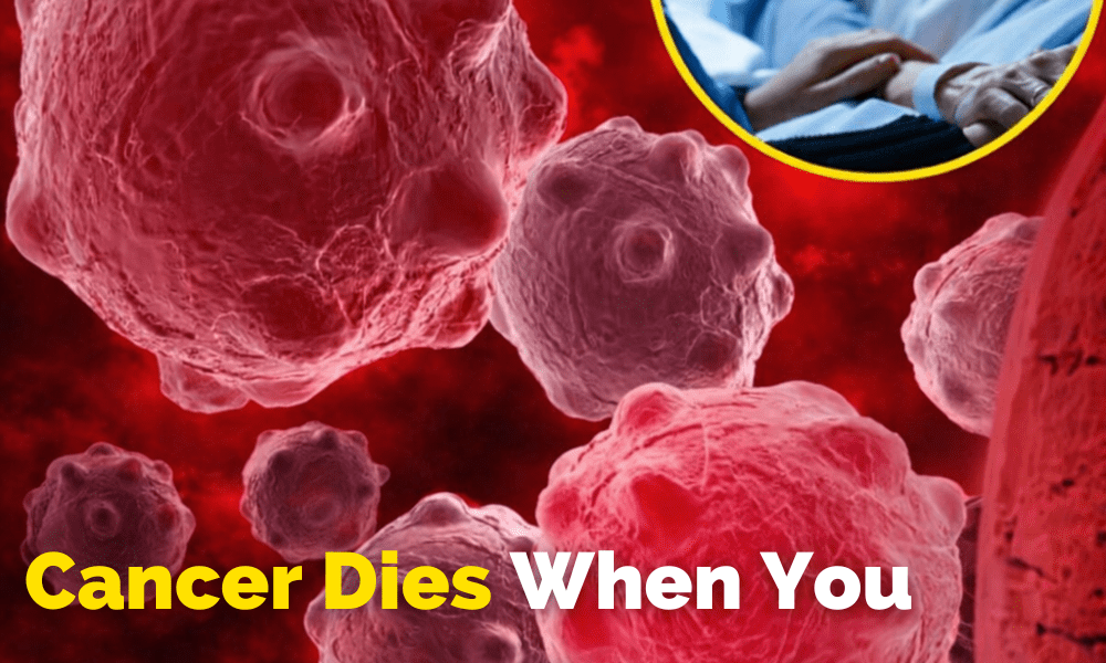 8 Powerful Anti-Cancer Foods You Should Start Including in Your Diet – Health