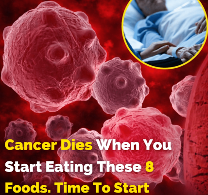 8 Powerful Anti-Cancer Foods You Should Start Including in Your Diet – Health
