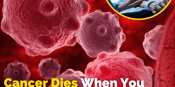 8 Powerful Anti-Cancer Foods You Should Start Including in Your Diet – Health