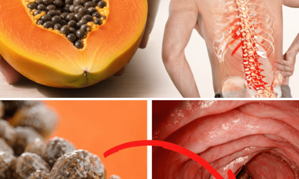 What Happens to Your Body When You Start Eating Papaya Seeds Every Day? – Health