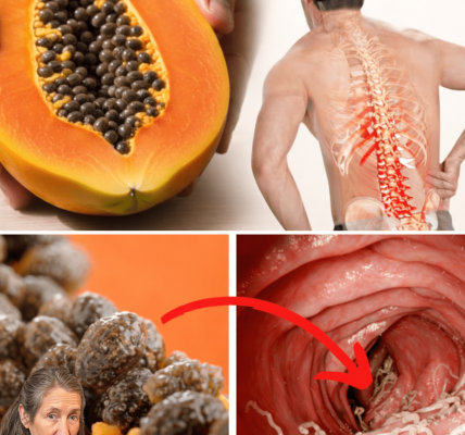 What Happens to Your Body When You Start Eating Papaya Seeds Every Day? – Health