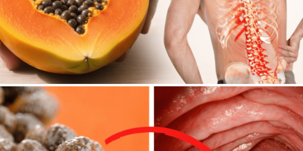 What Happens to Your Body When You Start Eating Papaya Seeds Every Day? – Health