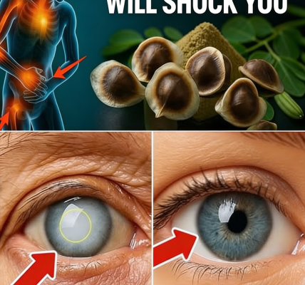 12 Ways Moringa Seeds Can Support Your Everyday Health and Wellness – Health