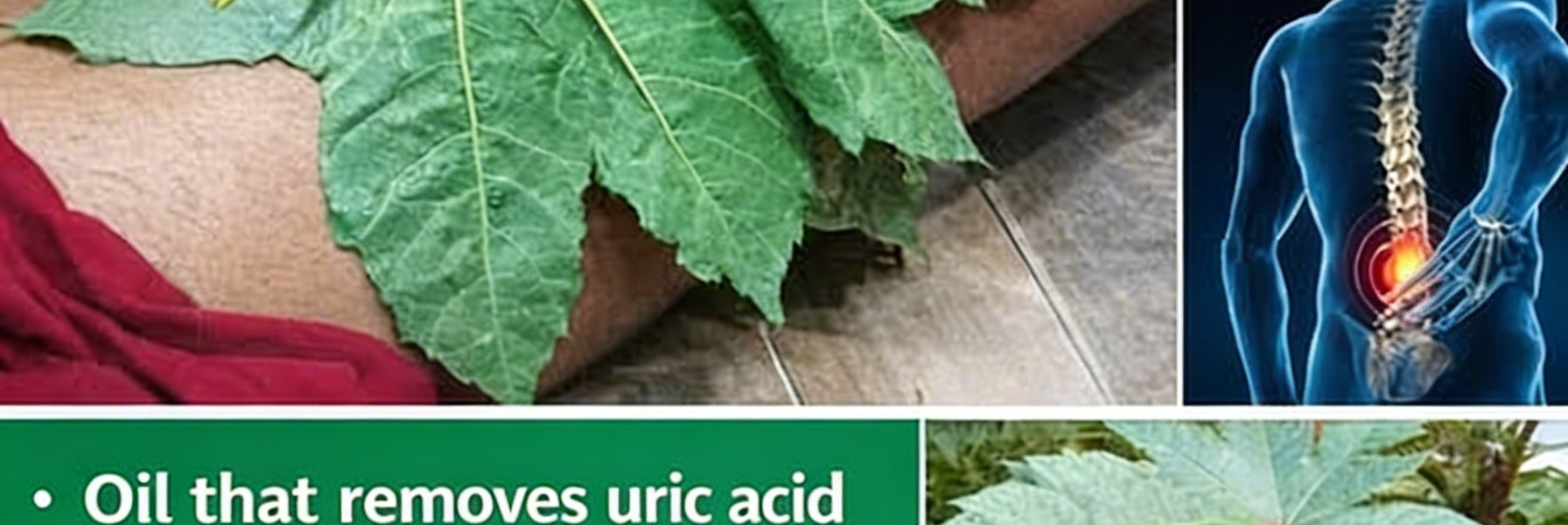 Health Benefits & How to Use It for Hair – Health