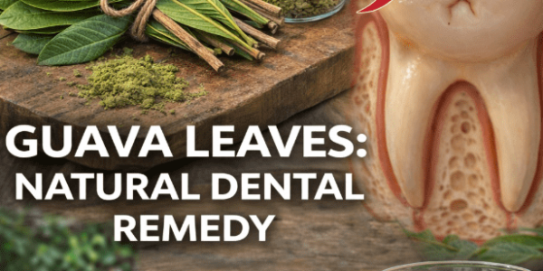 Discover 3 Simple Guava Leaf Habits for Fresher, Healthier Smiles – Healthy Life