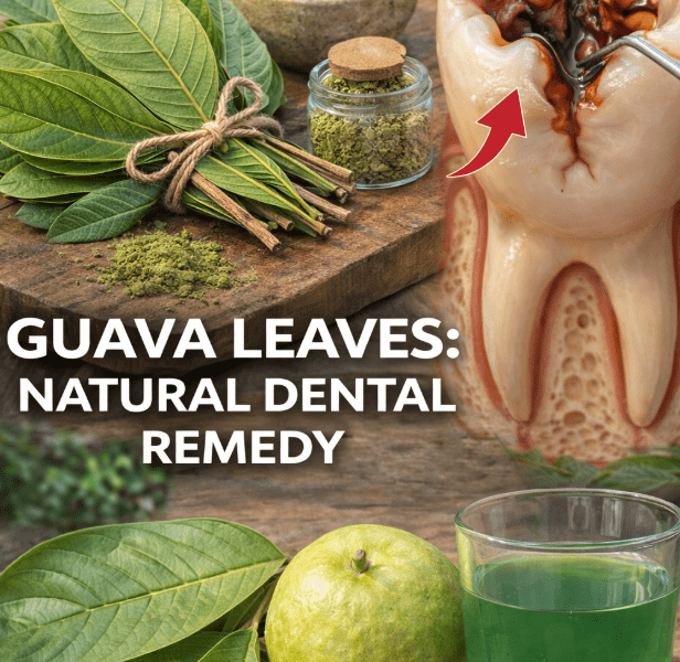 Discover 3 Simple Guava Leaf Habits for Fresher, Healthier Smiles – Healthy Life