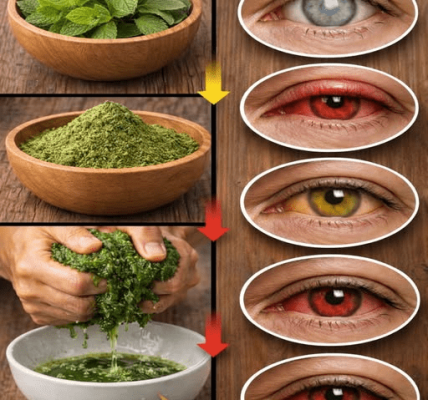 Support Clear Vision Naturally – healthtips