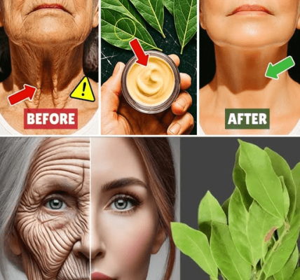 Bay Leaf 1,000,000× Stronger Than Botox – Erases ALL Wrinkles Even at The Age of 70
