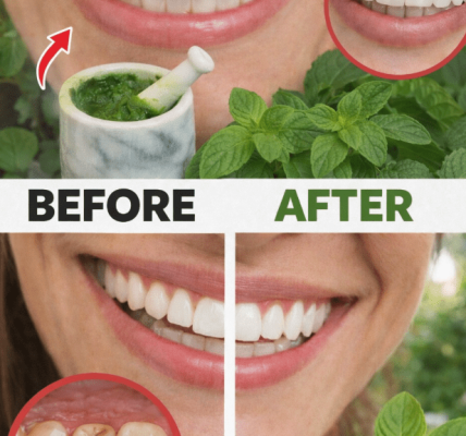3 Guava Leaf Habits for a Cleaner Mouth and Fresher Breath – Healthy Life