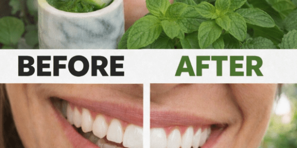 3 Guava Leaf Habits for a Cleaner Mouth and Fresher Breath – Healthy Life