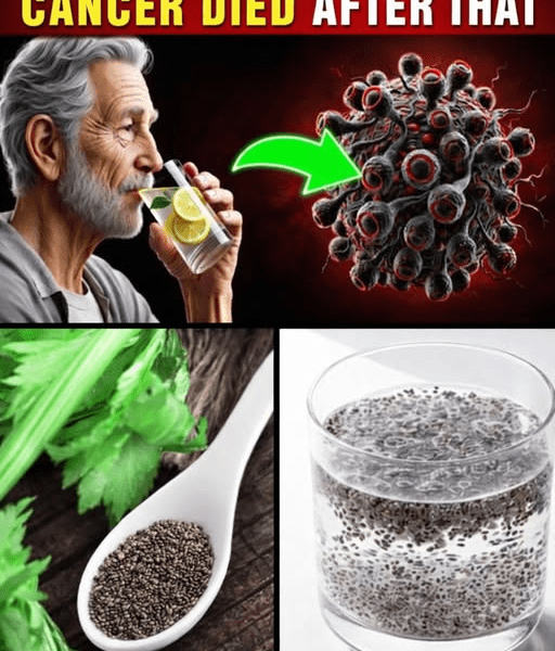 CANCER is Afraid of These Products! TOP 16 ANTICANCER Foods – Health