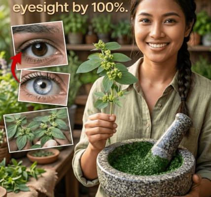 The Overlooked Plant That May Support Eye Comfort Naturally – Healthy Life