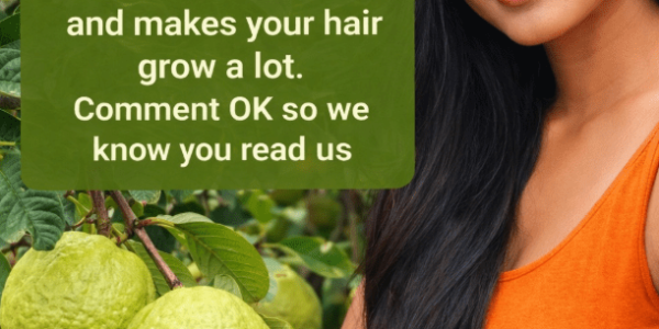 Guava’s Hidden Power for Balanced Blood Sugar and Stronger Hair – Healthy Life