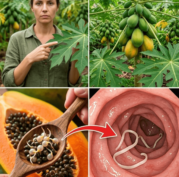 The Overlooked Superfood in Your Fruit Bowl – Healthy Life