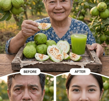 Natural Ways to Support Your Vision – Healthy Life