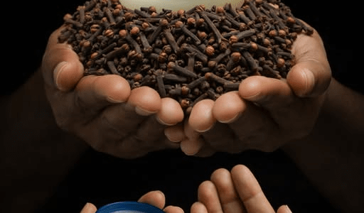 The Old-School “Biological Shield” Trick Thousands Are Quietly Using for Fast, Natural Relief – healthtips