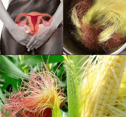 The Golden Herbal Secret for Everyday Wellness – Healthy Life