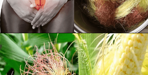 The Golden Herbal Secret for Everyday Wellness – Healthy Life