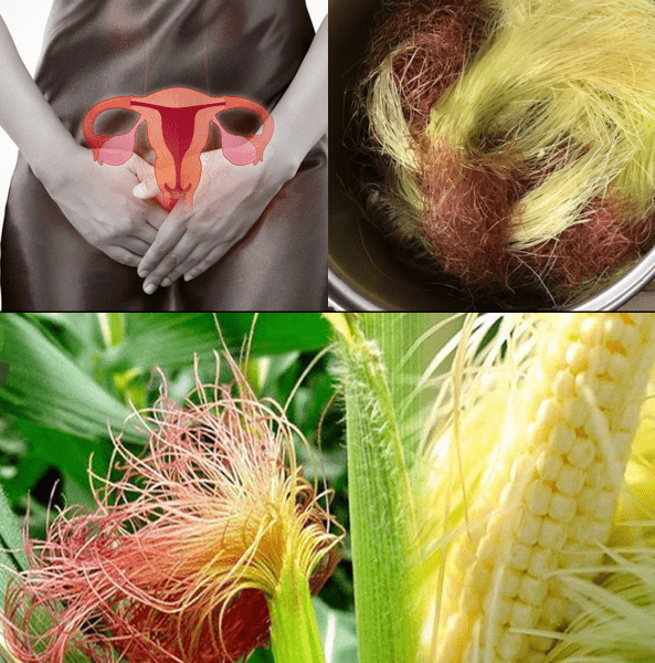 The Golden Herbal Secret for Everyday Wellness – Healthy Life