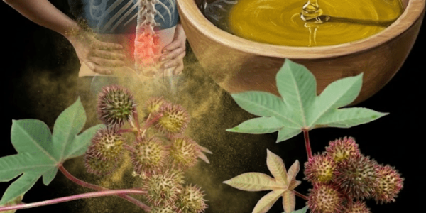 The Hidden Healing Power in Your Garden – Healthy Life