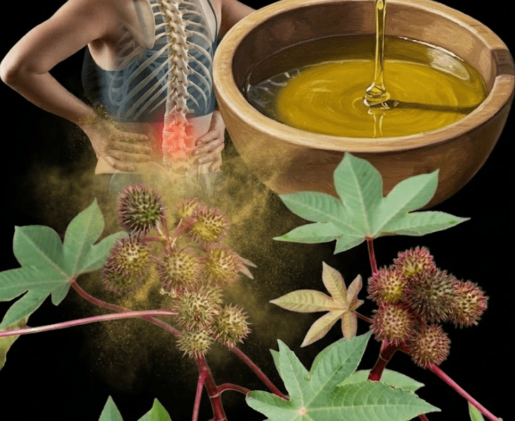 The Hidden Healing Power in Your Garden – Healthy Life