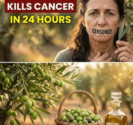 The Overlooked Leaf That May Support a Healthier Body – Healthy Life