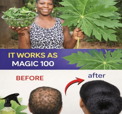 Discover the Secret of Papaya Leaves for Hair Vitality – healthtips
