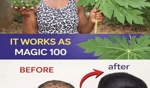 Discover the Secret of Papaya Leaves for Hair Vitality – healthtips