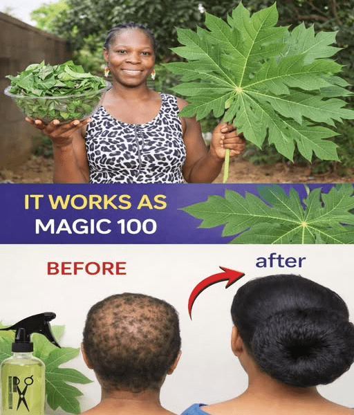 Discover the Secret of Papaya Leaves for Hair Vitality – healthtips