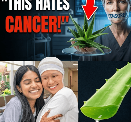 Barbara O’Neill’s Holistic Support Approach – Healthy Life