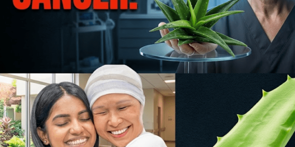 Barbara O’Neill’s Holistic Support Approach – Healthy Life