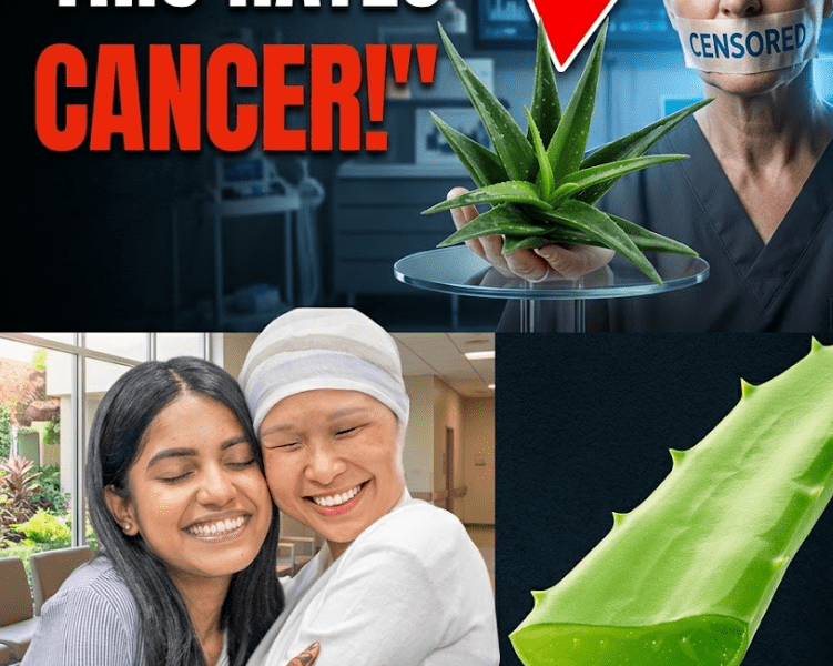 Barbara O’Neill’s Holistic Support Approach – Healthy Life