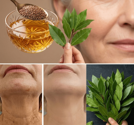 Bay Leaves and the Hidden Ritual for Aging Skin – Healthy Life