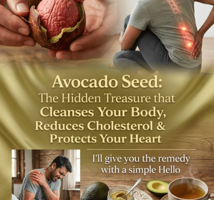 The Hidden Power Inside an Avocado Seed – Healthy Life