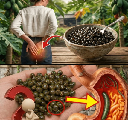 The 7-Day Papaya Seed Ritual That May Surprise You – Healthy Life