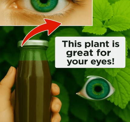 The Plant That’s Helping Millions See Clearly Again – Healthy Life!
