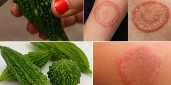 The Bitter Gourd Secret – Healthy Life